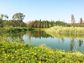 云南昆明海洪湿地公园