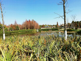 云南昆明海洪湿地公园