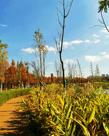 云南昆明海洪湿地公园