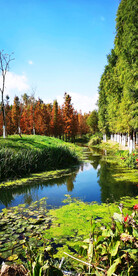 云南昆明海洪湿地公园