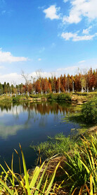 云南昆明海洪湿地公园