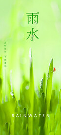 雨水