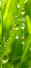 雨水