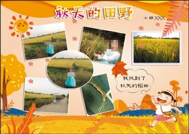 秋天小报