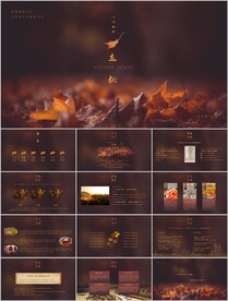 24节气立秋ppt课件