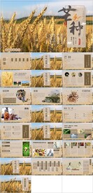 24节气芒种ppt班会