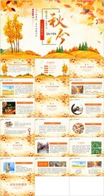 24节气秋分ppt班会