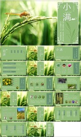 24节气小满ppt节日