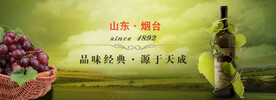 山东红酒海报