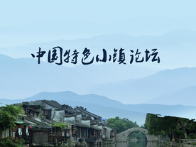 中国特色小镇海报