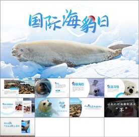国际海豹日