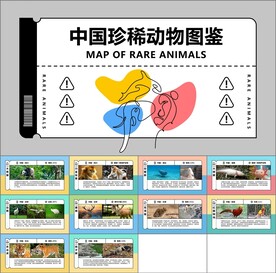 国际珍稀动物保护日ppt