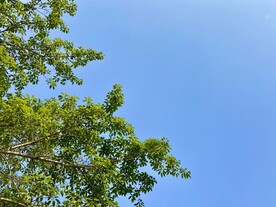 夏日天空