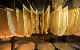 腐竹豆皮酿制工艺