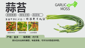 胖东来超市吊旗展板商品介绍蒜苔