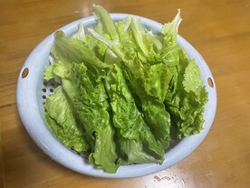 青菜
