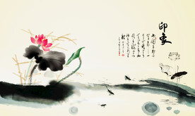 古风 荷花 印象