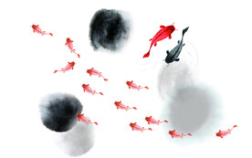 水墨 锦鲤 金鱼