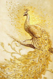 金色孔雀