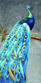背景墙 蓝色孔雀