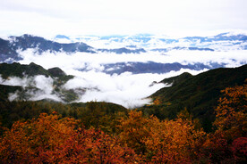 百花山云海 云层 山顶 