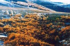 雪山 京西 灵山