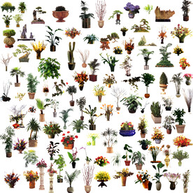 景观效果图 公园绿植