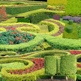 景观效果图免扣