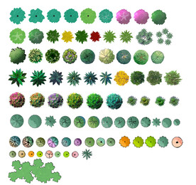 手绘植物 效果图素材