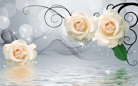 白玫瑰背景素材