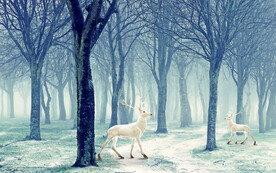 麋鹿森林装饰画