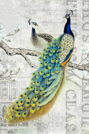 孔雀装饰画