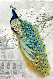 孔雀装饰画