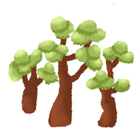 三棵树