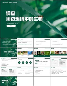 调查周围环境中的生物