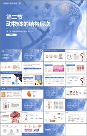 动物体的结构层次