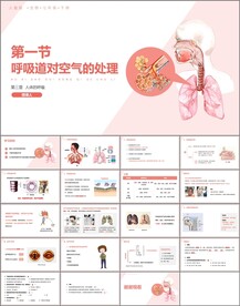 呼吸道对空气的处理