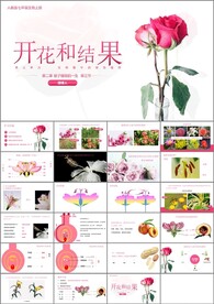 开花和结果