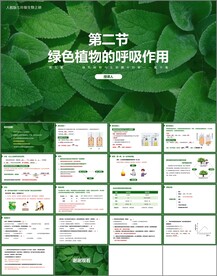 绿色植物的呼吸作用
