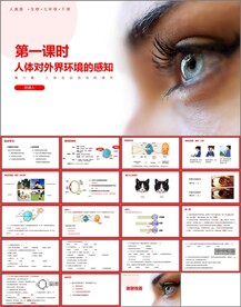 人体对外界环境的感知