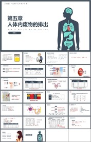 人体内废物的排出