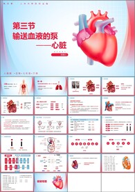 输送血液的泵心脏