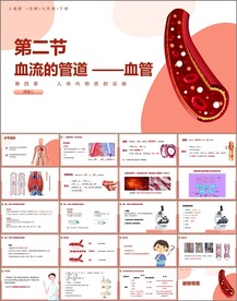 血流的管道血管