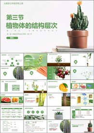 植物体的结构层次