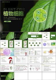 植物细胞
