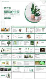 植株的生长
