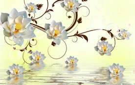 白玉兰背景素材