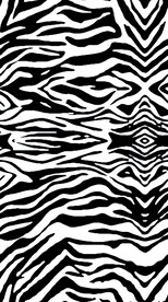 POP极品条纹大牌火暴款斑马纹