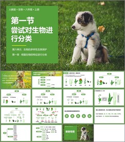 尝试对生物进行分类