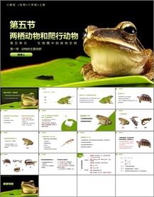 两栖动物和爬行动物